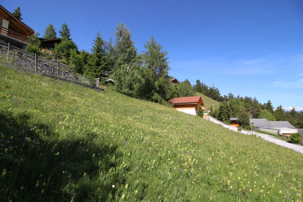 Magnifique parcelle dans un coin de nature avec vue à 180° à Aminona (Crans-Montana)