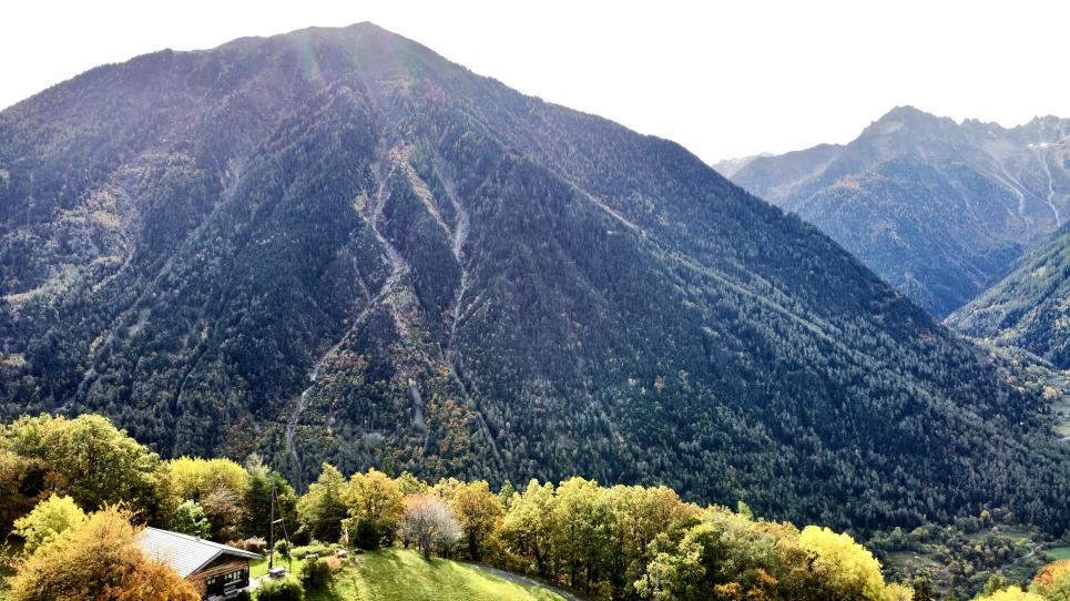 Terrain à Chemin