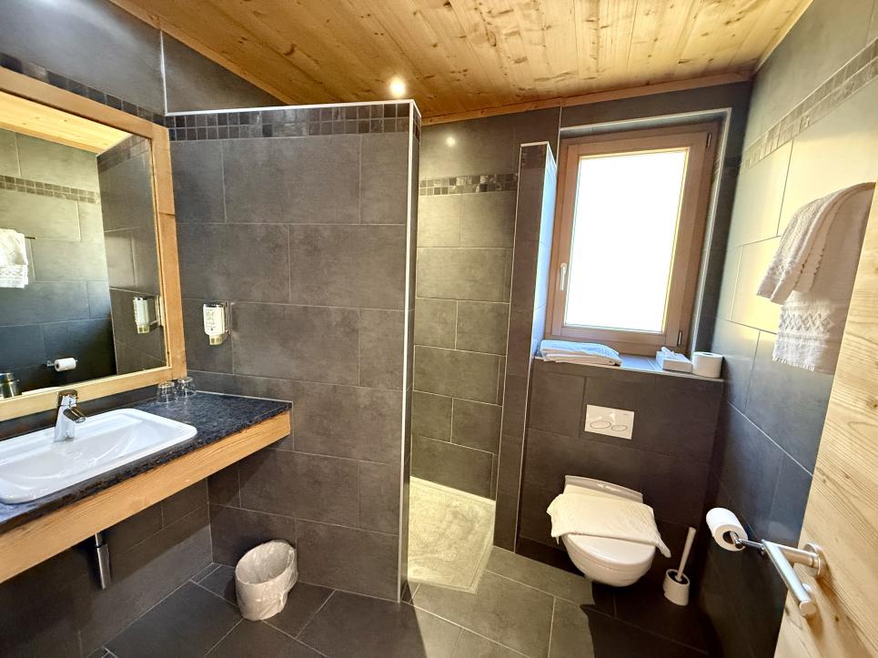 Hôtel 50 pièces 2’220 m2 à Morgins