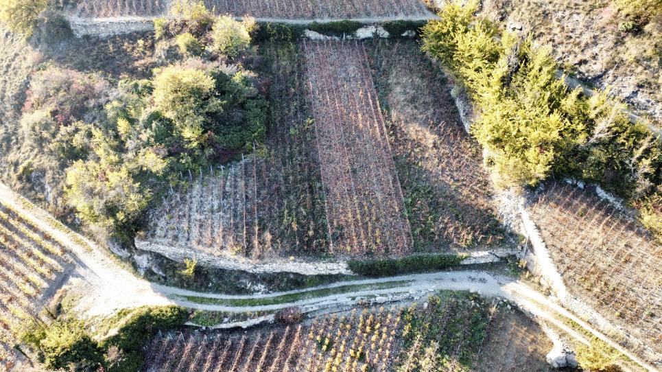 Terrain à Sion