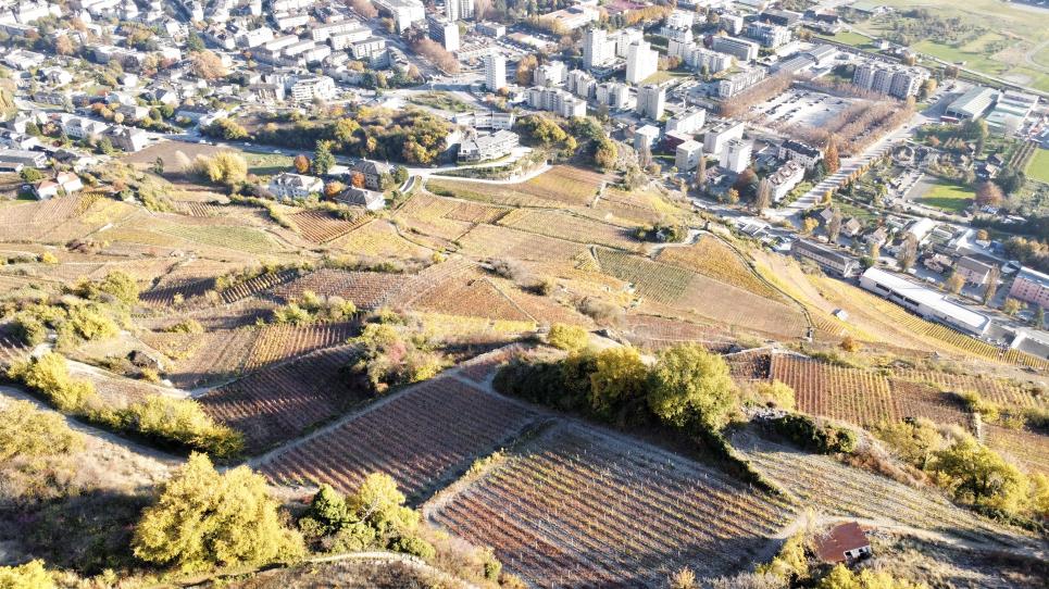 Terrain à Sion