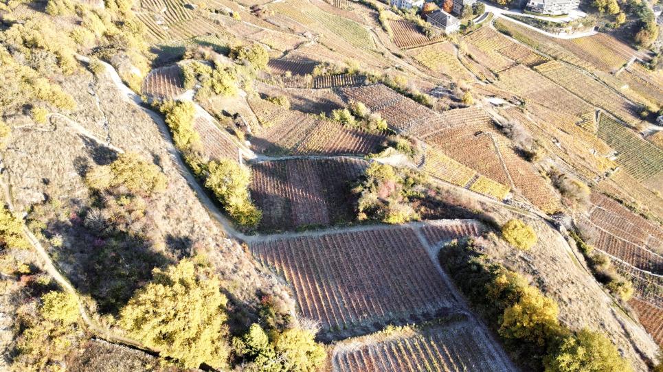 Terrain à Sion