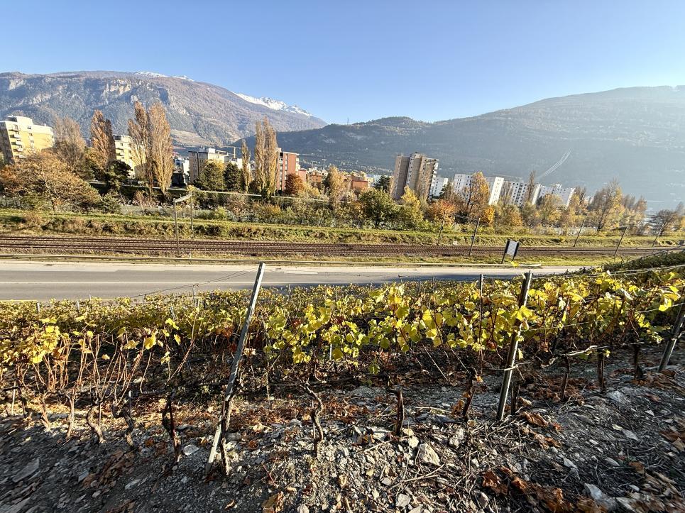 Terrain à Sion