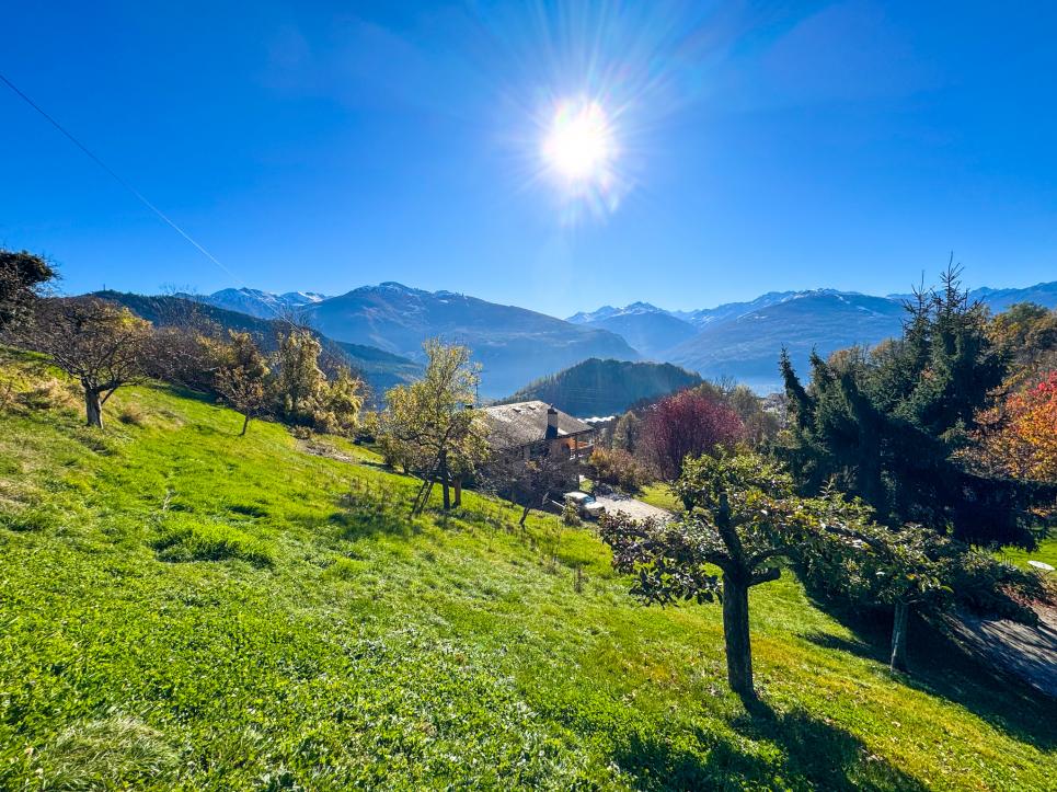 Terrain à Ayent