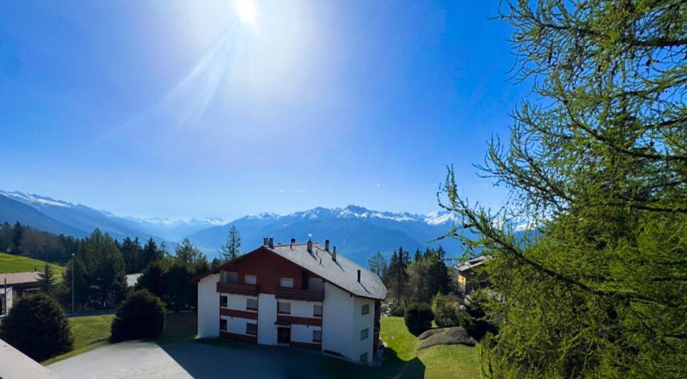 Attique 3.5 pièces à Crans-Montana