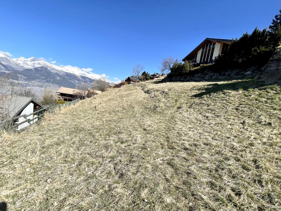 Terrain à Clèbes (Nendaz)