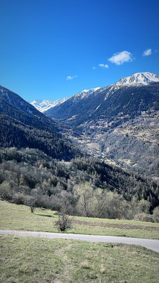 Terrain à Clèbes (Nendaz)