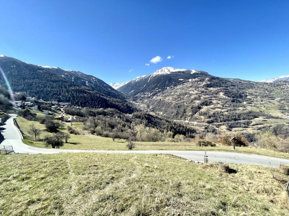 Terrain à Clèbes (Nendaz)