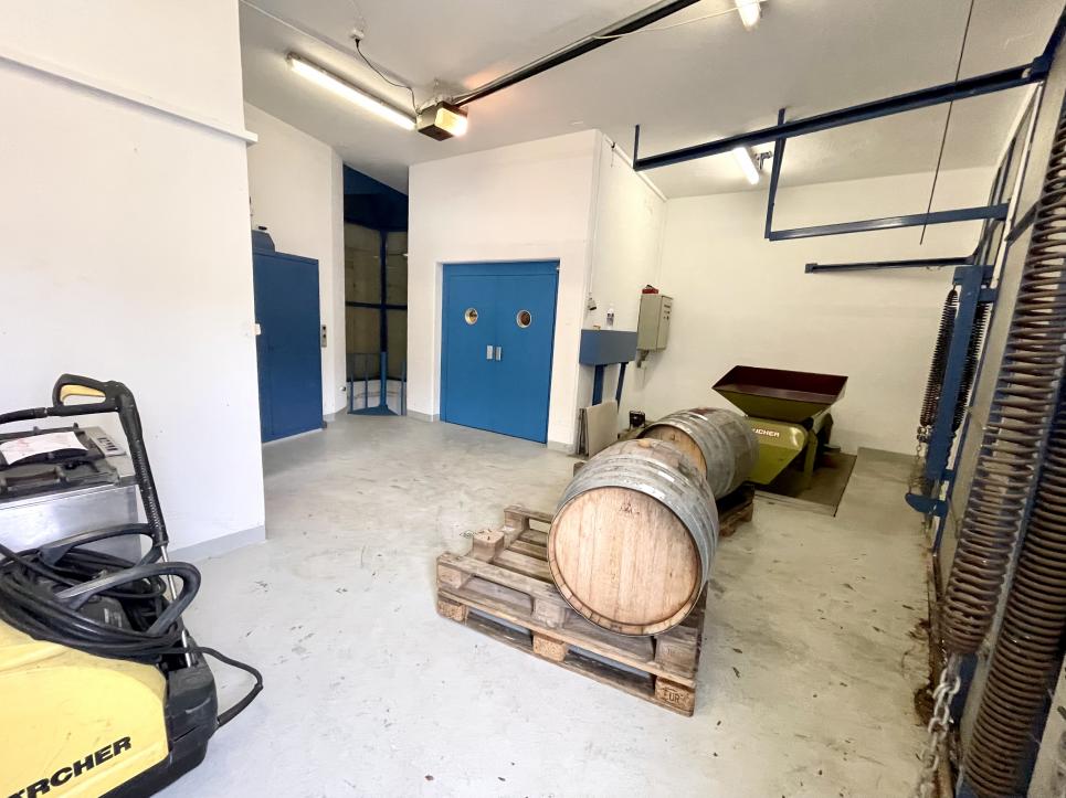 Domaine viticole 10 pièces 578 m2 à Salgesch