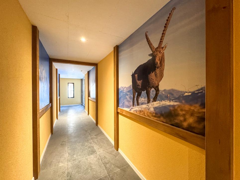 Appartement 2.5 pièces à Saxon