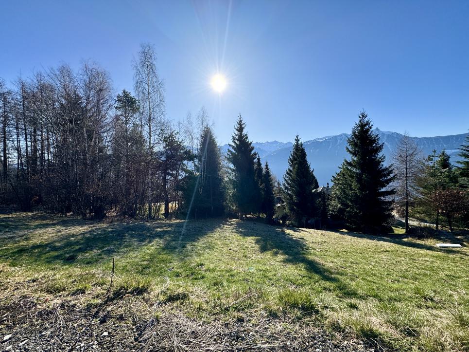 Terrain à Ovronnaz