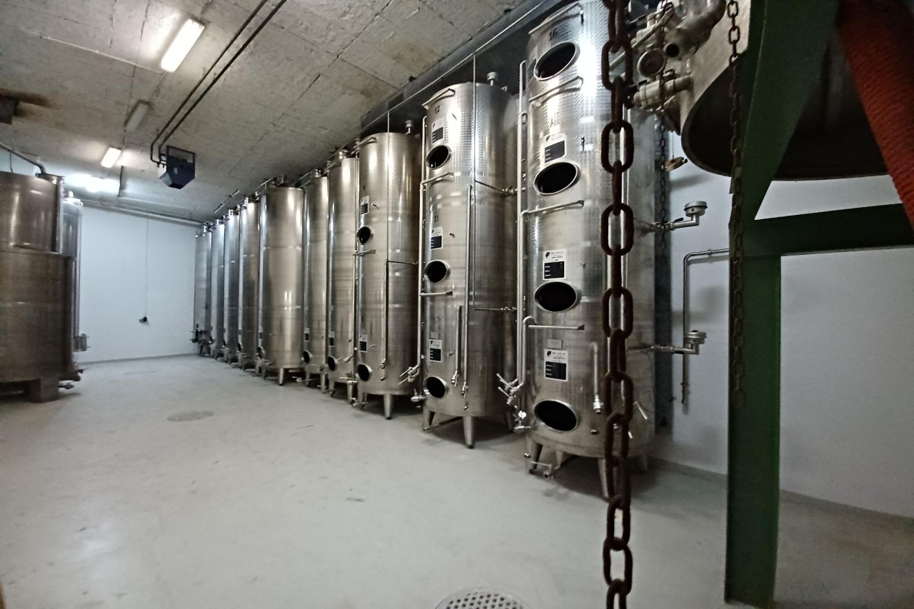 Dépôt | Cave à vin | Local de stockage équipé