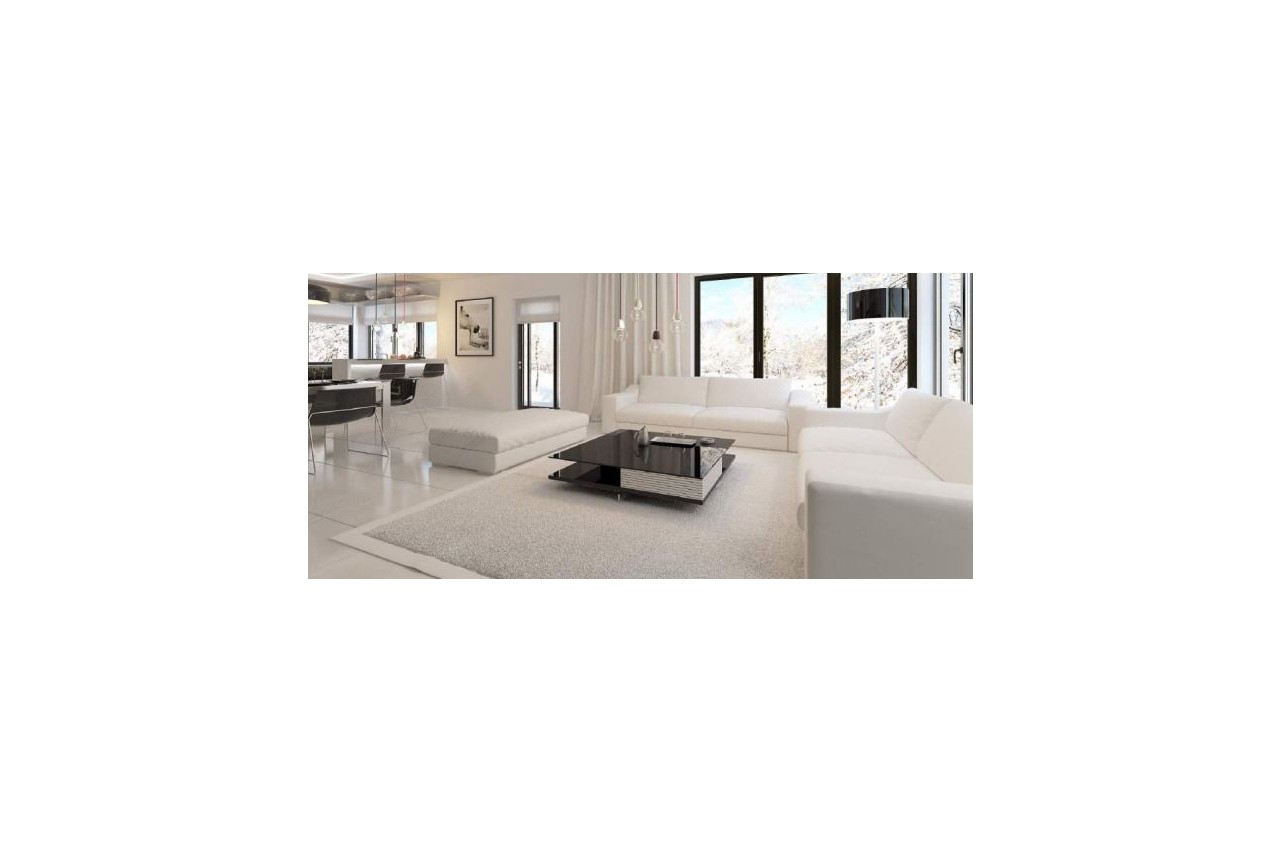Villa en promotion | Valais central