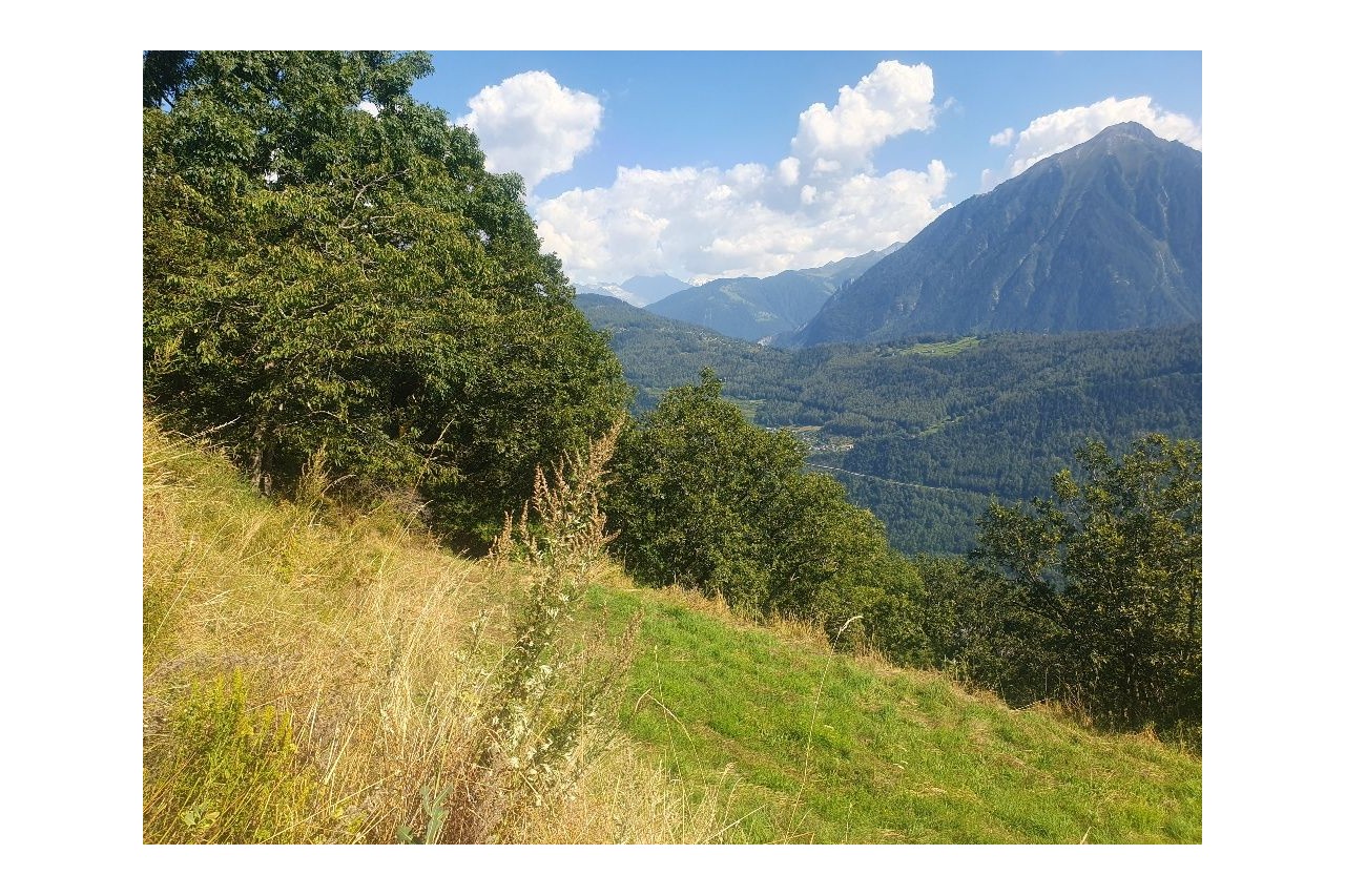 A saisir ! Belle parcelle à Ravoire | Martigny-Combe