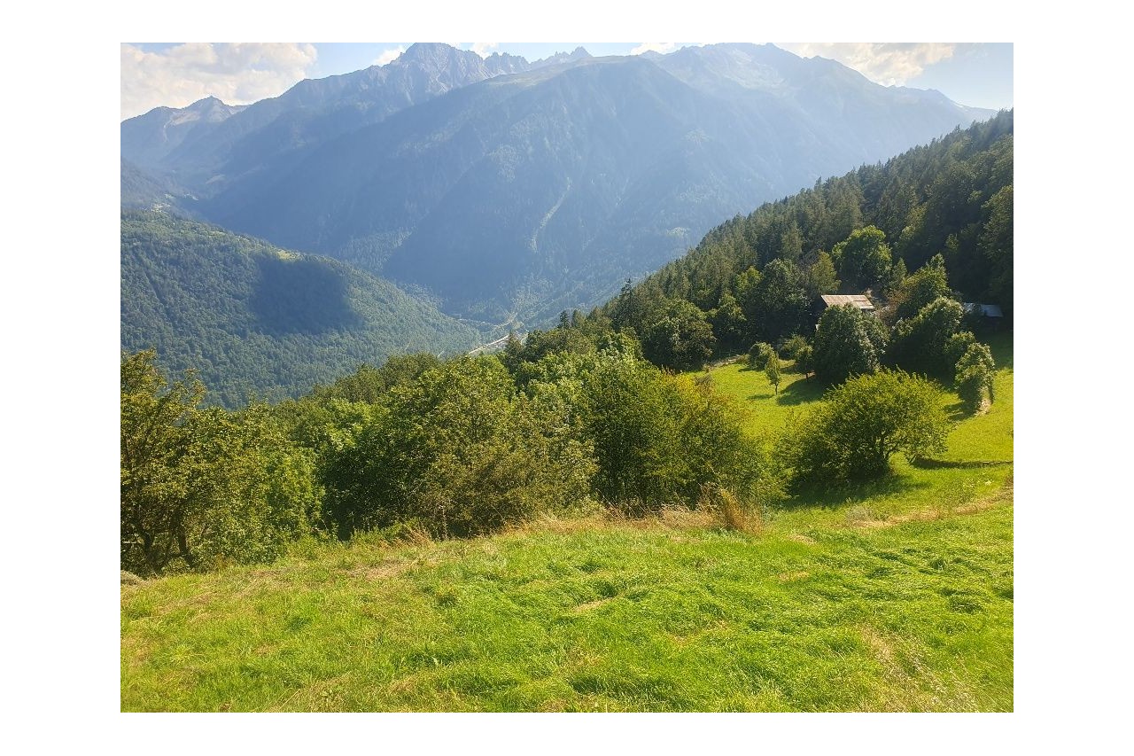 A saisir ! Belle parcelle à Ravoire | Martigny-Combe