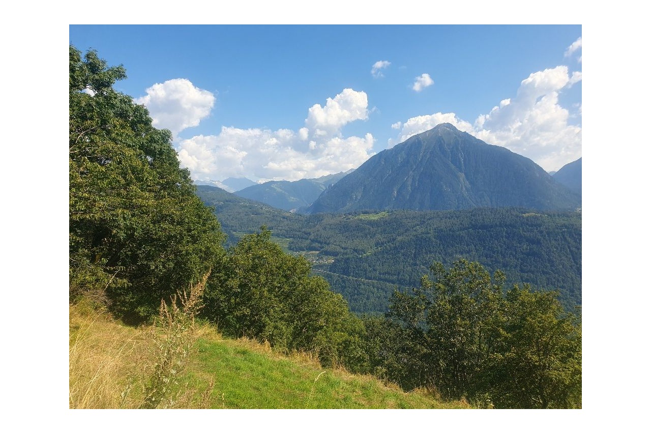 A saisir ! Belle parcelle à Ravoire | Martigny-Combe