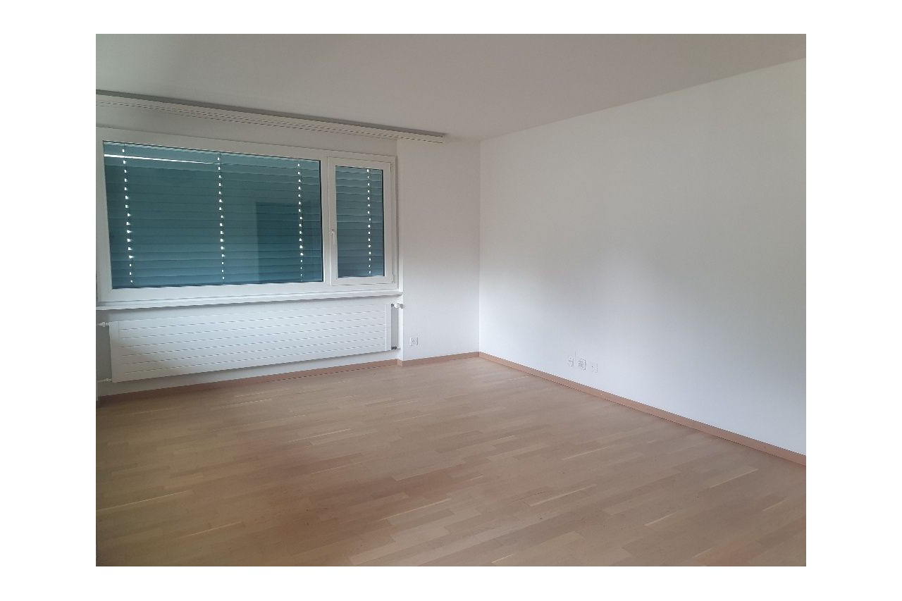 Bel appartement à saisir à Viège !