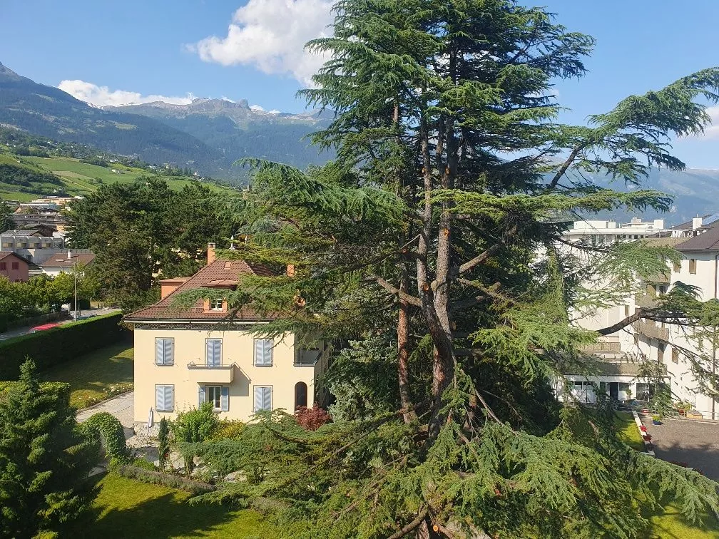 A saisir ! | Sierre | Appartement 3.5 pièces à rénover