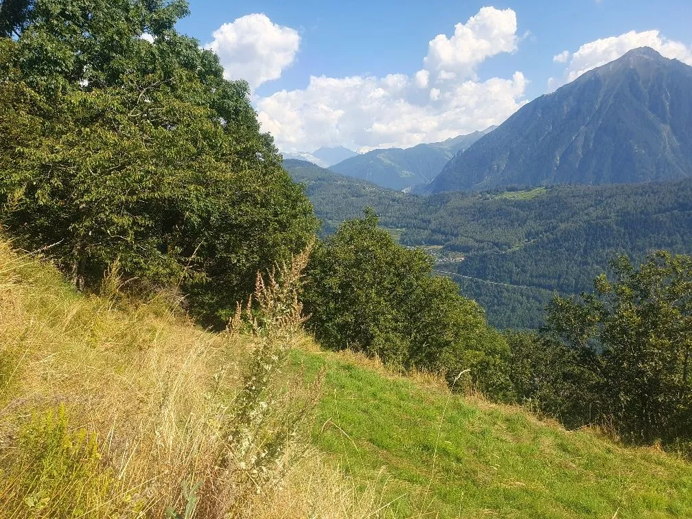 Belle parcelle à bâtir | Ravoire | Martigny-Combe