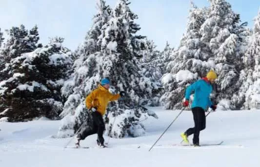 Magnifique Chalet 6.5 pièces à Hérémence