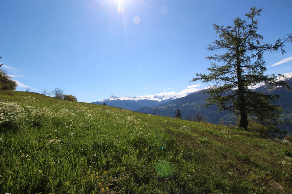 Chalet 5.5 pièces à Crans-Montana