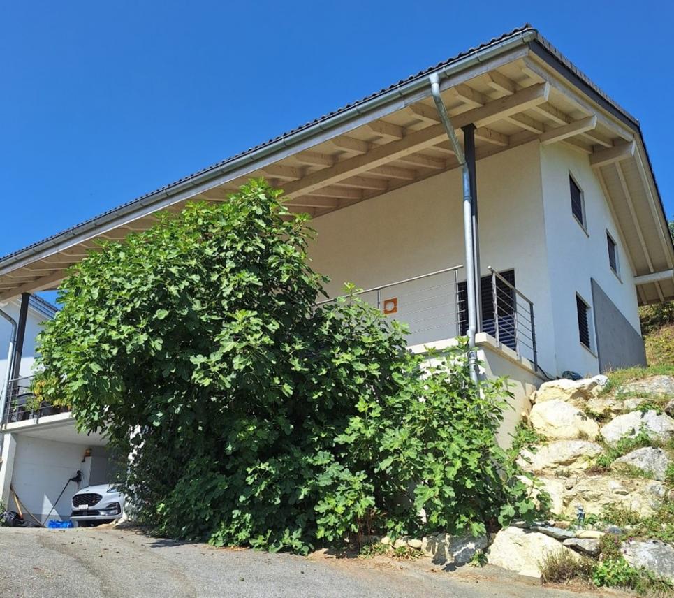 Villa Individuelle 7 pièces à Savièse
