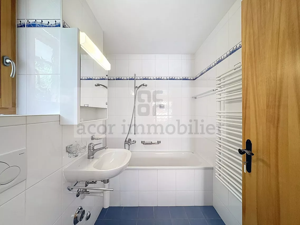Appartement meublé de 3½ pièces avec vue panoramique à Ovronnaz