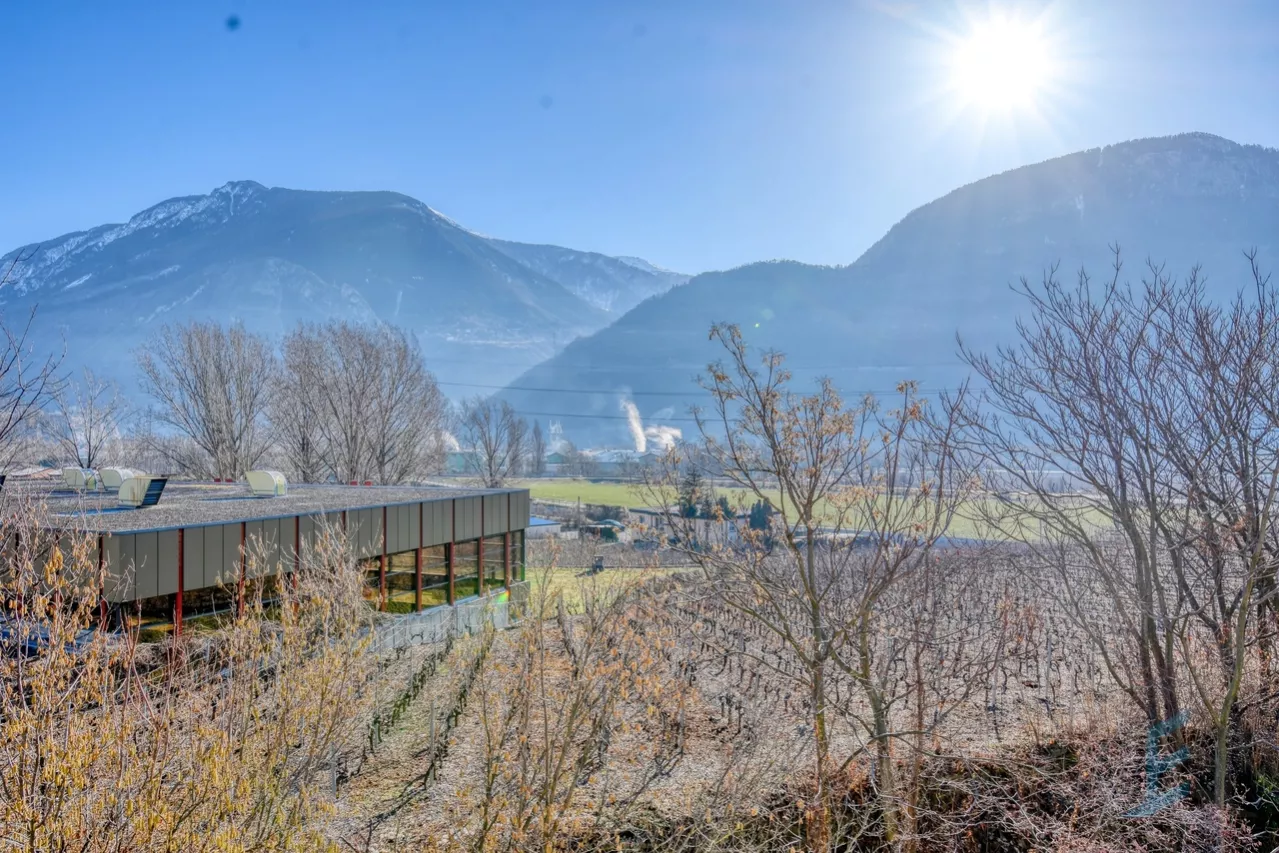 EXCLUSIF 4 ½ pièces de 115m² dans un quartier à l'Ouest de Sierre