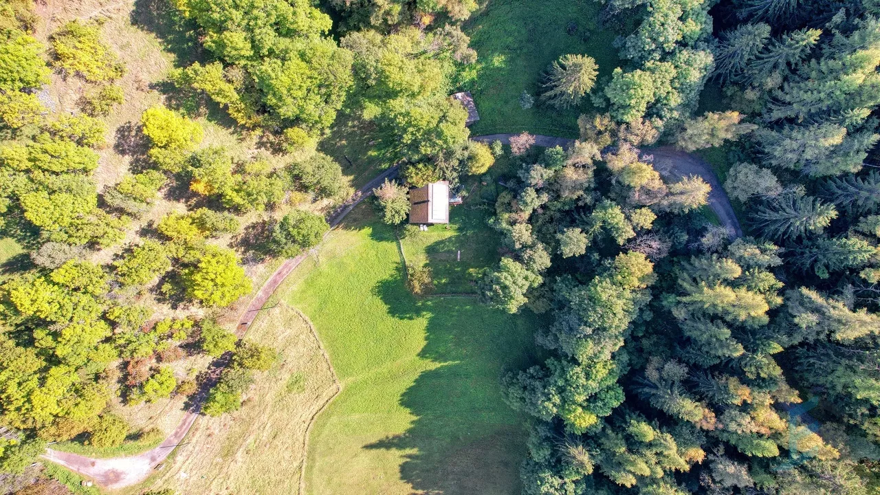 EXCLUSIF magnifique chalet individuel de 6.5 pièces en pleine nature