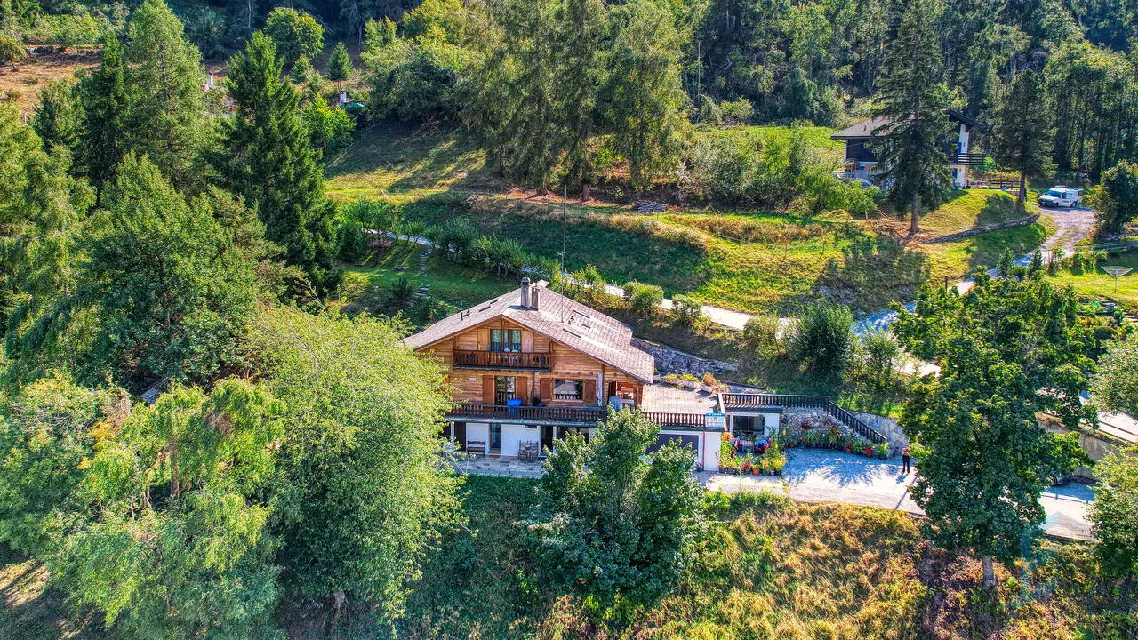 A LOUER Charmant appartement meublé de 2 ½ pièces en lisière de forêt
