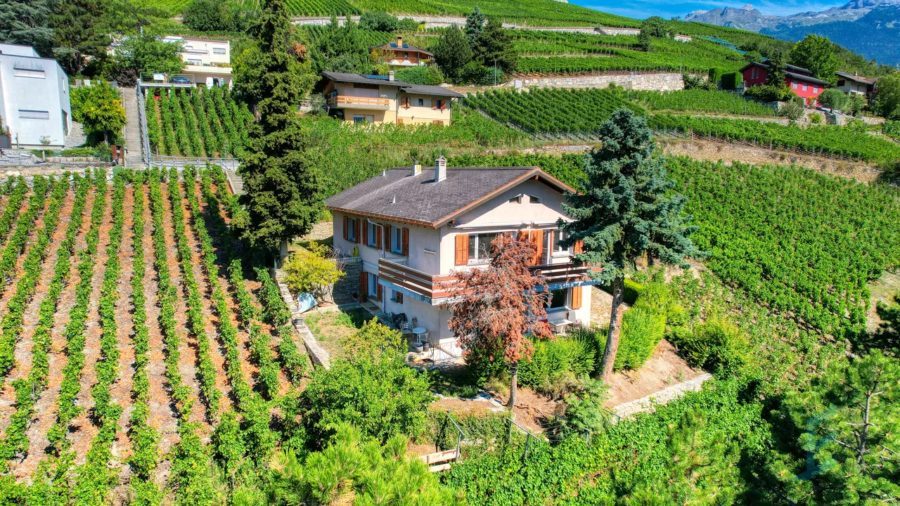 EXCLUSIF Charmante maison de 2 unités au coeur du vignoble sierrois