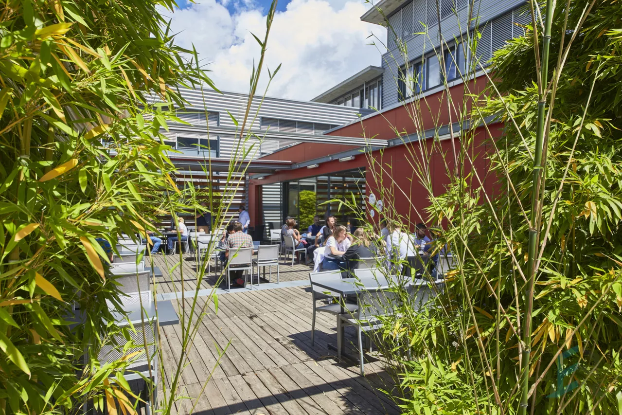 Bureaux à louer au coeur du Swiss Digital Center