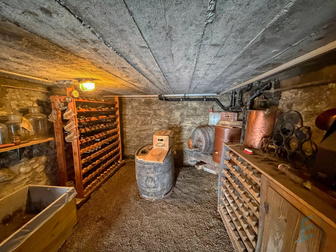 EXCLUSIF Charmant chalet de 2 appartements au coeur du village de Nax