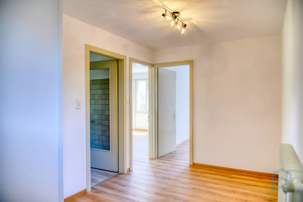 A LOUER Charmant appartement de 3 ½ pièces avec balcon et garage-box