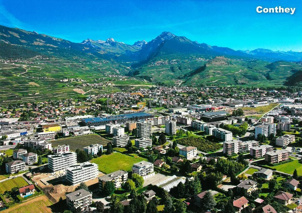 TERRAIN DE 2604 M2 AVEC MENUISERIE