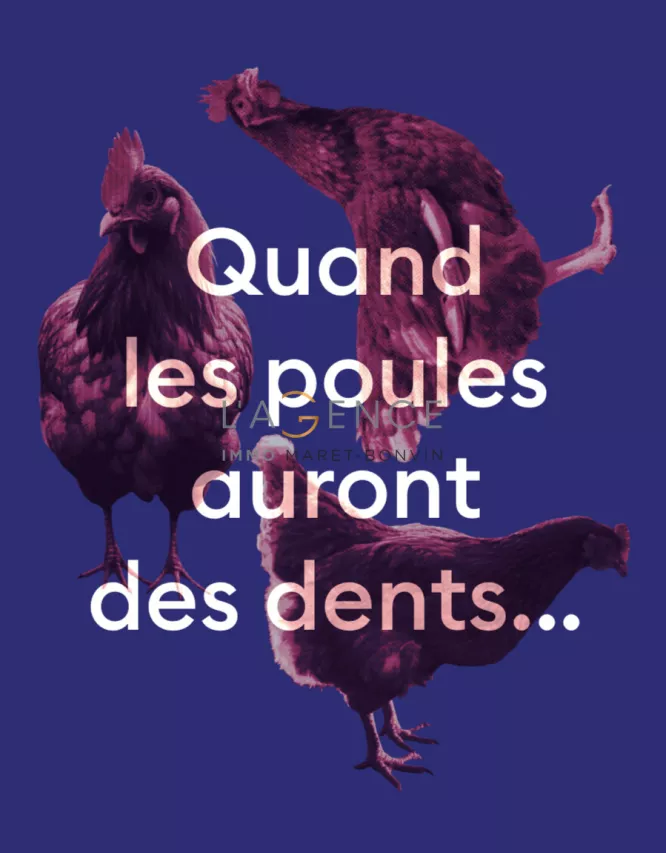 SAVIESE CENTRE - NOUVELLE PROMOTION