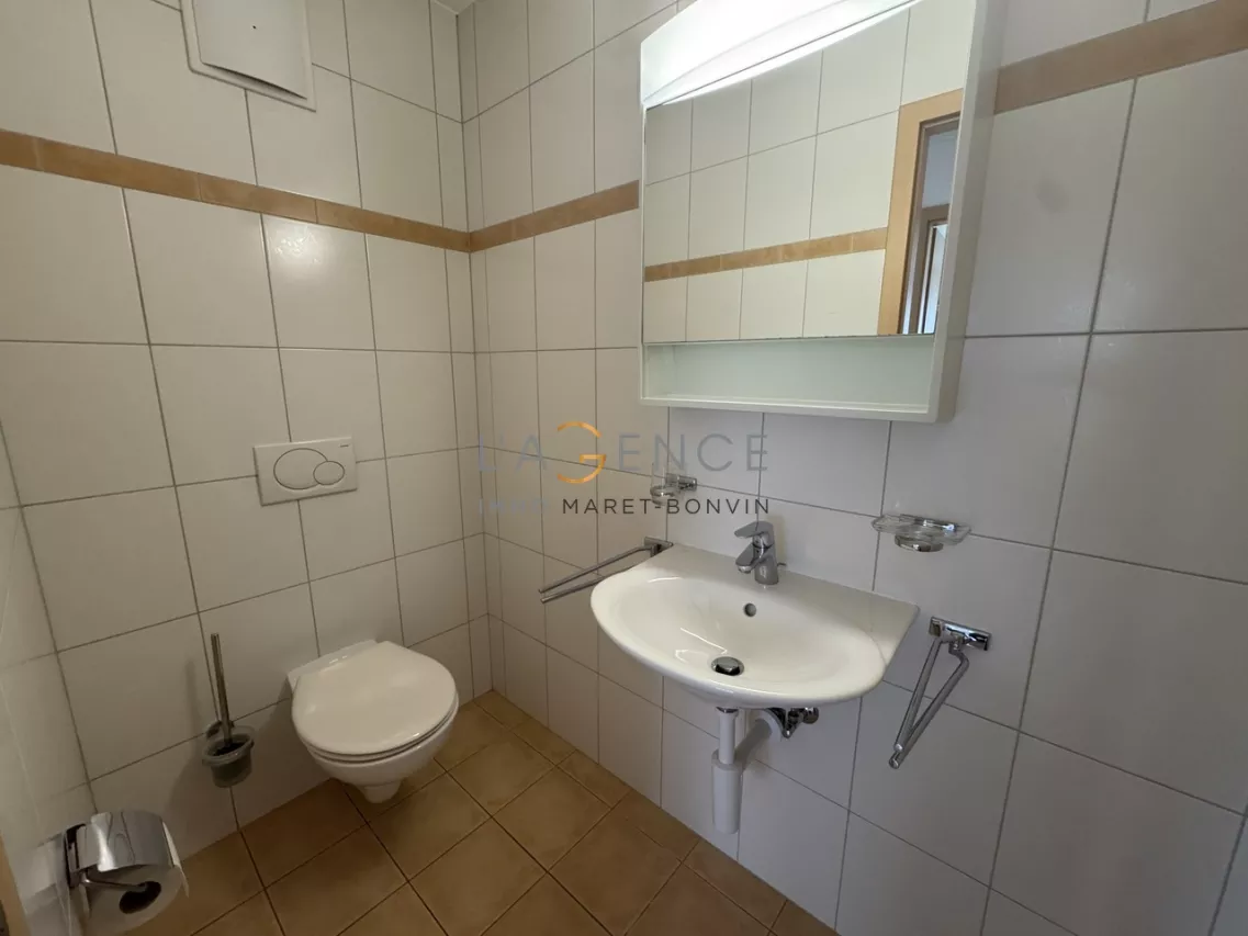 Grand et lumineux appartement de 4.5 pièces