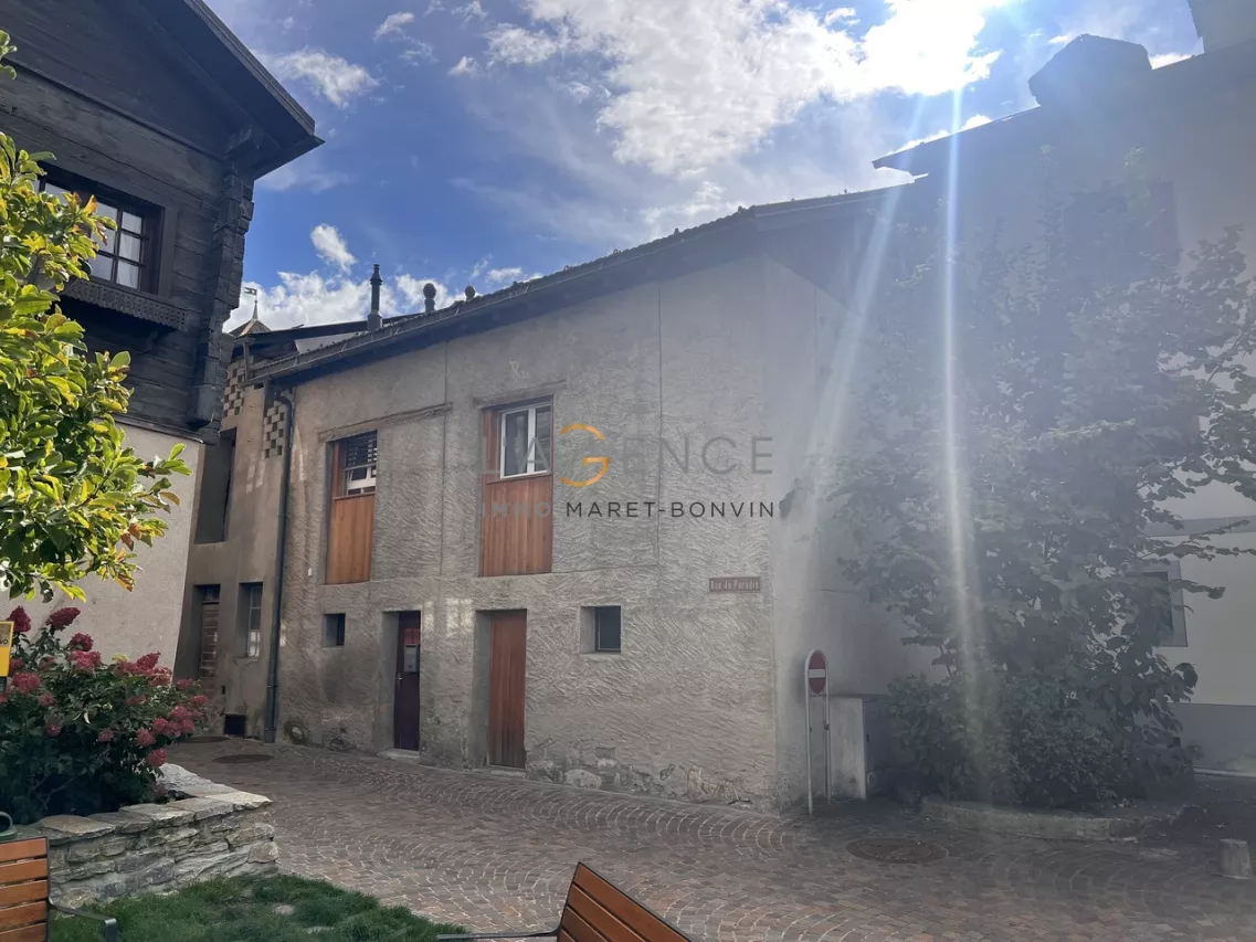 MAISON VILLAGEOISE RENOVE AVEC JARDIN DE 100M2