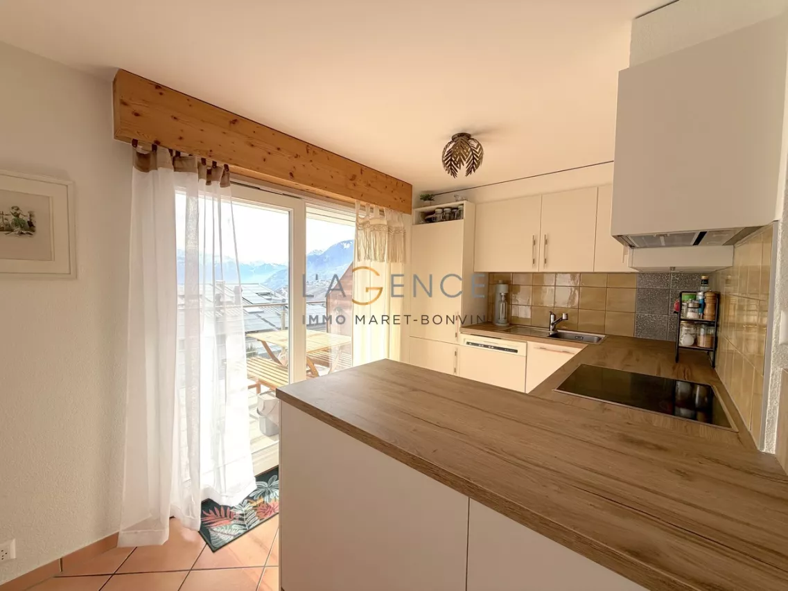 APPARTEMENT DE 4,5 PCES AVEC TERRASSE DE 9 M2