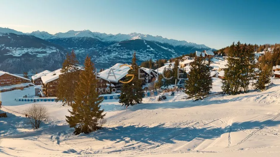 STATION DU VALAIS : RESTAURANT A VENDRE AVEC MUR