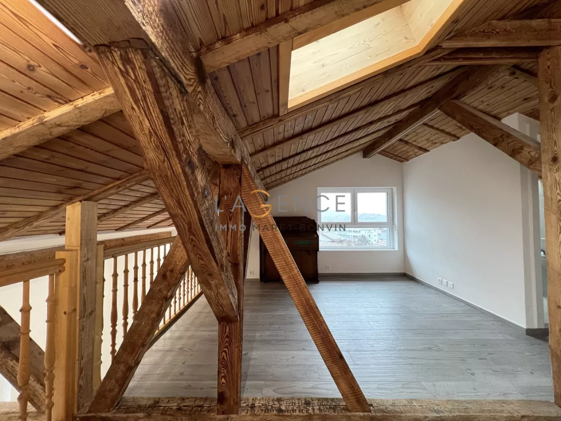 IMMEUBLE RENOVE DE DEUX APPARTEMENTS