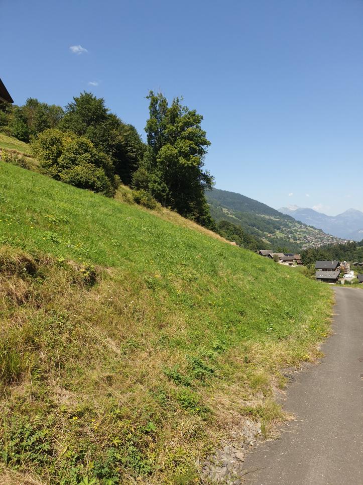 Terrain à Val-d'Illiez