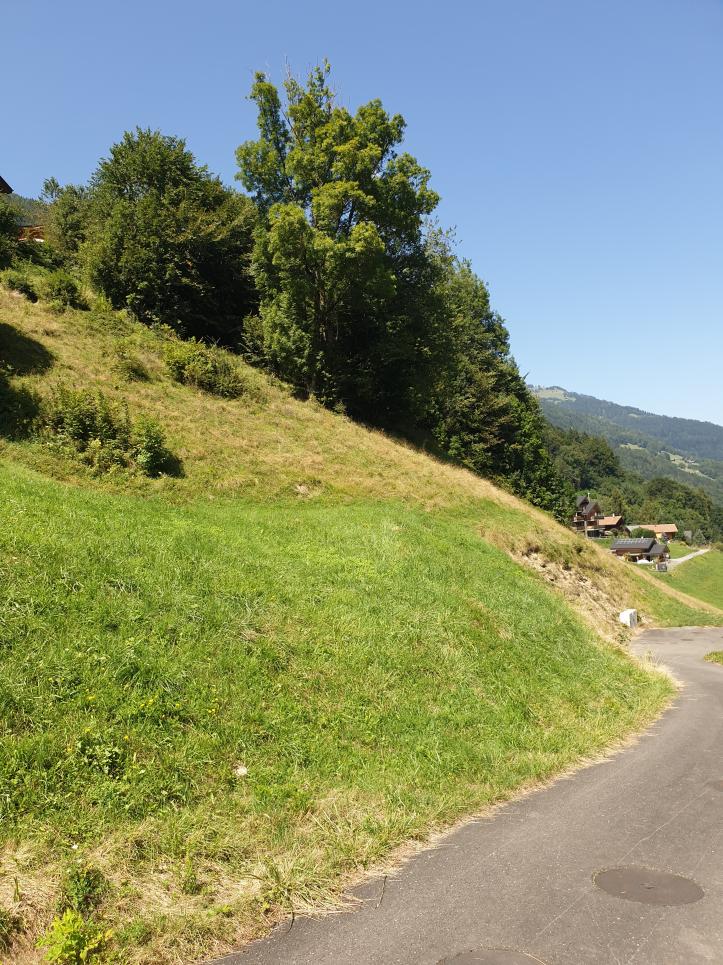 Terrain à Val-d'Illiez