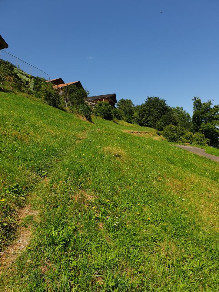 Terrain à Val-d'Illiez