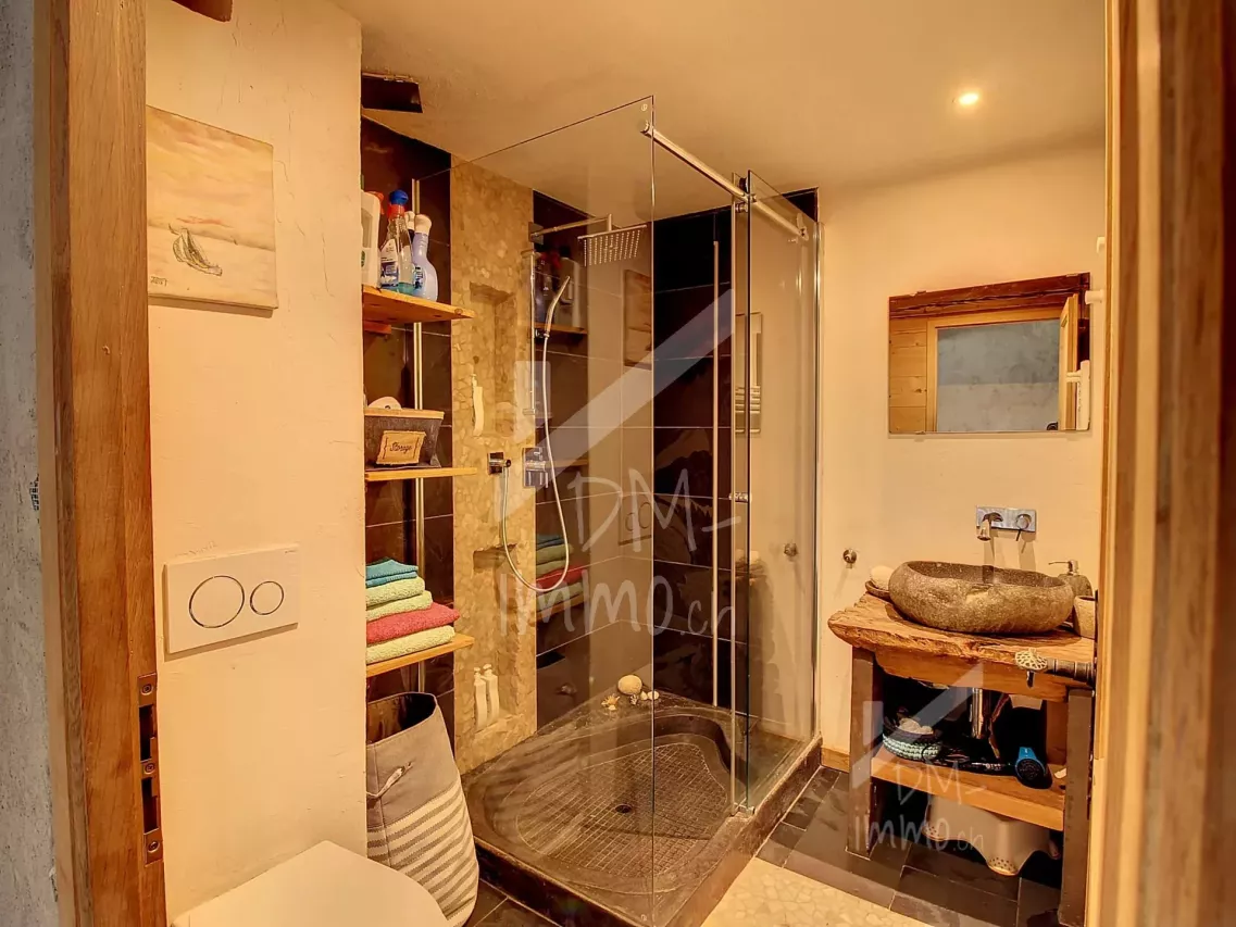 Maison idéale pour locations saisonnières - revenus Fr. 30 000 / an (200 nuitées)