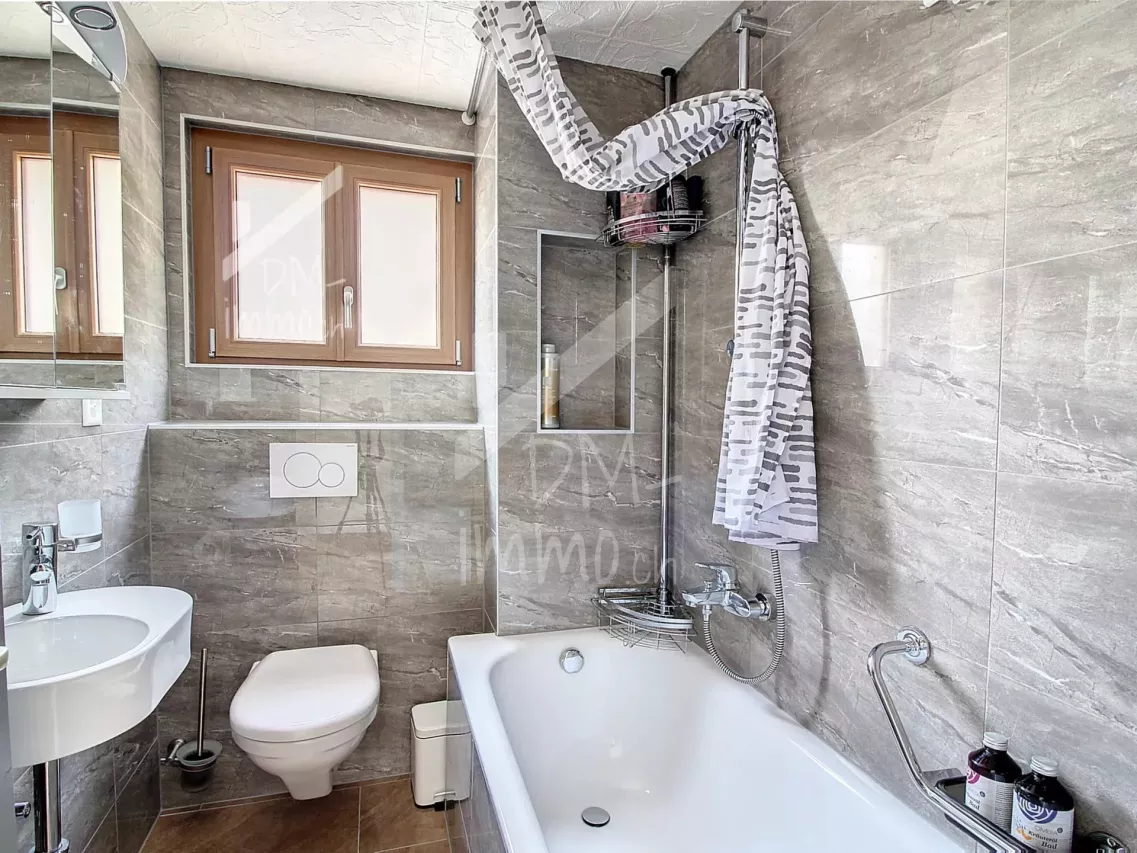 Maison de village rénovée + studio + petite grange à rénover