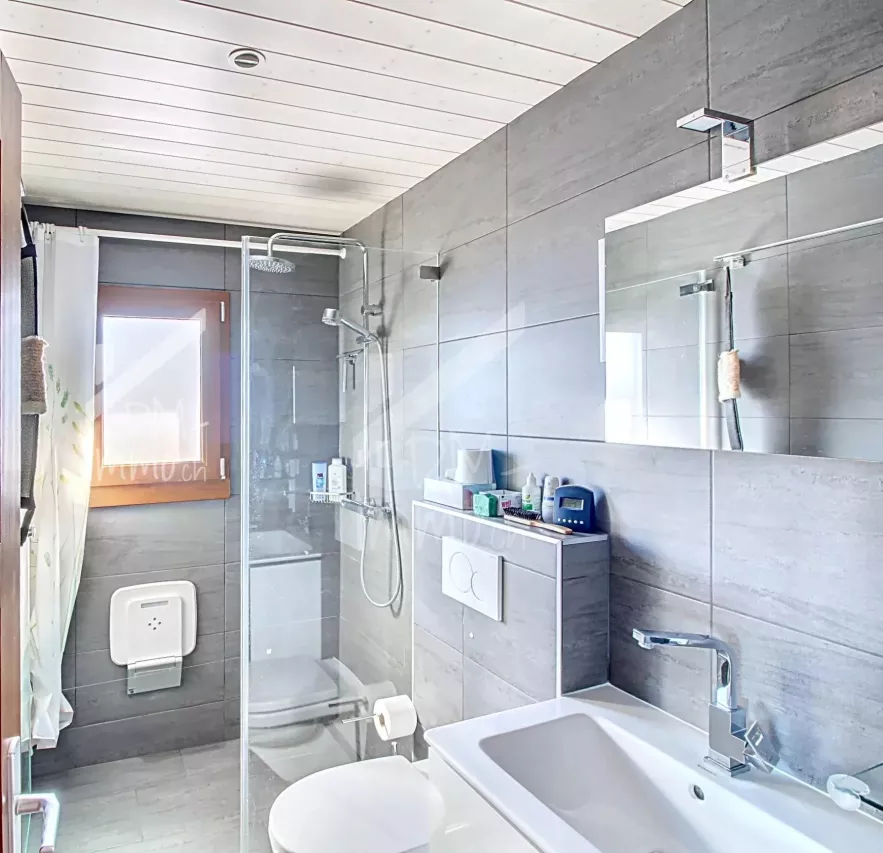 Magnifique chalet rénové avec studio - Vente aux étrangers possible