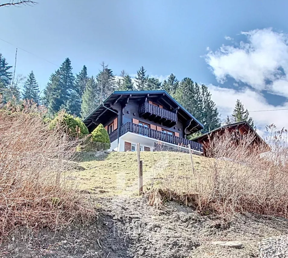 Magnifique chalet rénové avec studio - Vente aux étrangers possible