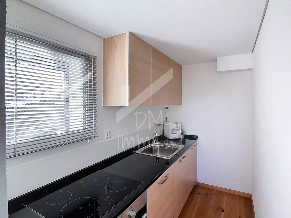 Magnifique chalet rénové avec studio - Vente aux étrangers possible