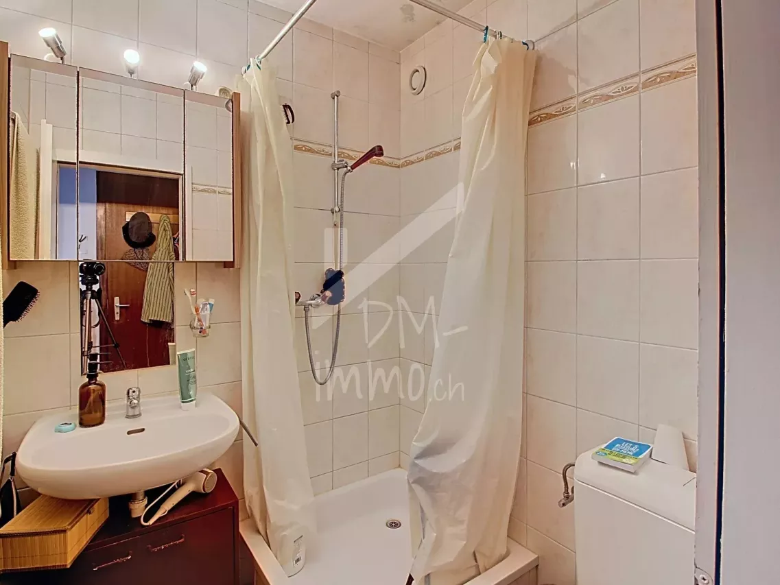 Studio rénové et loué, véranda, proche centre Saxon